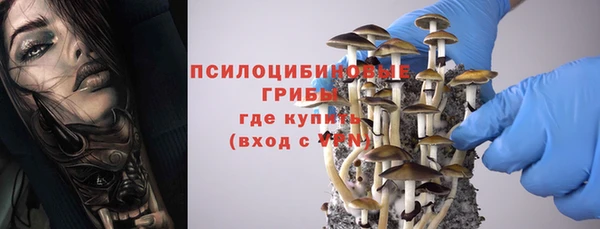 соль курить ск Алексеевка