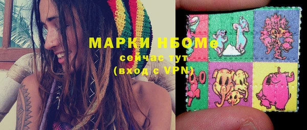 apvp Алексин