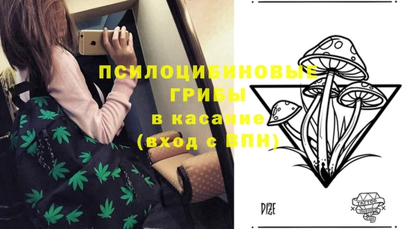 соль курить ск Алексеевка